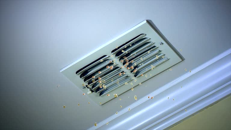 Best Commercial HVAC Duct Cleaning  in Tolono, IL
