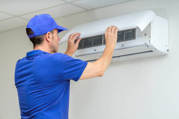 Best Air Duct Sanitizing Services  in Tolono, IL