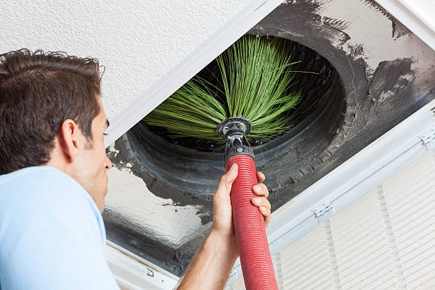Best HVAC System Cleaning  in Tolono, IL