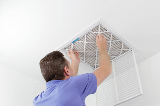 Best Air Vent Cleaning Services  in Tolono, IL